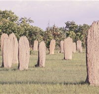 Magnetic Termite Mounds - Accommodation BNB