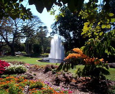 Book Darwin NT Attractions Accommodation BNB Accommodation BNB