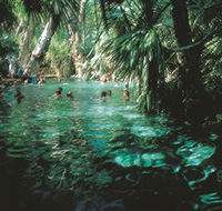 Mataranka Thermal Pool - Accommodation BNB
