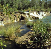 Flora River Nature Park - Accommodation BNB