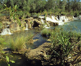 Flora River Nature Park - Accommodation BNB 0