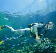 Kirra Reef Dive Site - Accommodation BNB