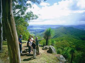 Gold Coast Hinterland Great Walk - Accommodation BNB 0