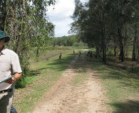 Coombabah QLD Accommodation BNB