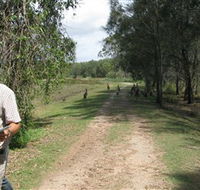 Coombabah Lakes Conservation Area - Accommodation BNB