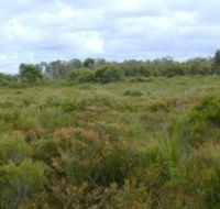 Pine Ridge Conservation Park - Accommodation BNB