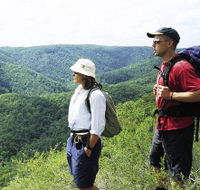 Sunshine Coast Hinterland Great Walk - Accommodation BNB
