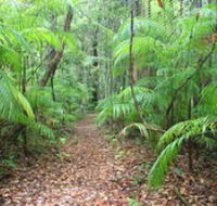 Delicia Road Conservation Park - Accommodation BNB