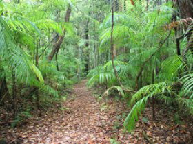 Delicia Road Conservation Park - Accommodation BNB 0