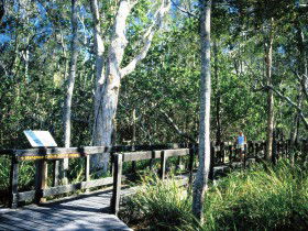 Noosa Heads QLD Accommodation BNB