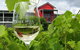 Flame Hill Vineyard - thumb 0