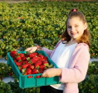 Strawberry Fields - Accommodation BNB