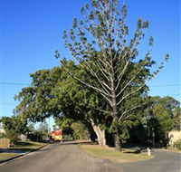 Anzac Avenue Memorial Trees Beerburrum - Accommodation BNB