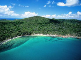 Noosa Heads Coastal Track - Accommodation BNB 0