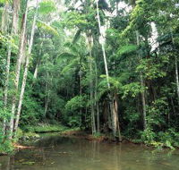 Mount Allan Trail - Accommodation BNB