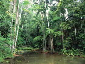 Mount Allan Trail - Accommodation BNB 0