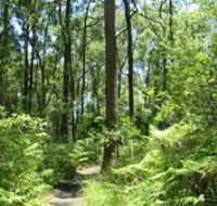 Mapleton Falls National Park - Accommodation BNB