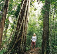 Wet Tropics - Accommodation BNB