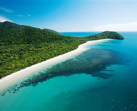 Cape Tribulation, Daintree National Park - Accommodation BNB 0