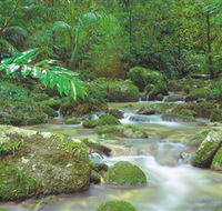 Mossman Gorge Daintree National Park - Accommodation BNB