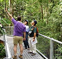 Daintree Discovery Centre - Accommodation BNB