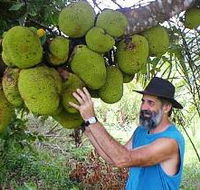 Cape Trib Exotic Fruit Farm - Accommodation BNB