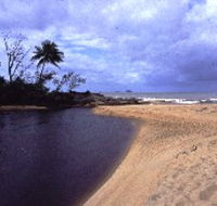 Russell River National Park - Accommodation BNB