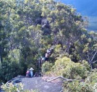 Mia Mia State Forest - Accommodation BNB