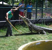 Snakes Downunder Reptile Park and Zoo - Accommodation BNB