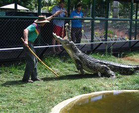Snakes Downunder Reptile Park And Zoo - Accommodation BNB 0