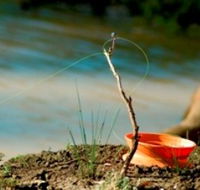 Charleville - Mangalore Warrego River Fishing Spot - Accommodation BNB