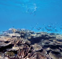 Australian Institute of Marine Science - Accommodation BNB