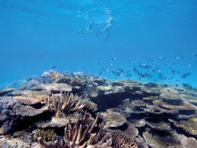 Australian Institute Of Marine Science - Accommodation BNB 0