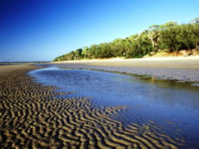 Burrum Coast National Park - Accommodation BNB 0