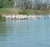 Lake Ross - Accommodation BNB