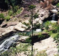 Banksia Track and the Boardwalk - Accommodation BNB