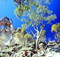Mount Moffatt Section - Carnarvon National Park - Accommodation BNB