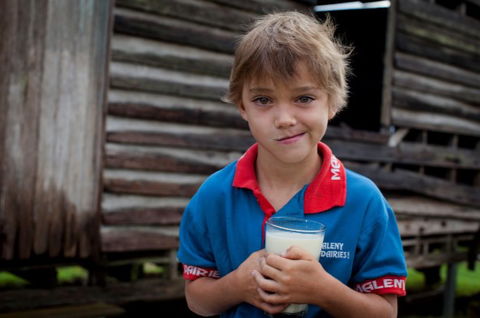 Maleny Dairies - Accommodation BNB 2