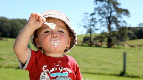Maleny Dairies - Accommodation BNB 5