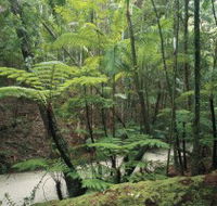 Fraser Island Great Walk - Accommodation BNB