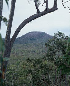 Mount Fox - Accommodation BNB 0
