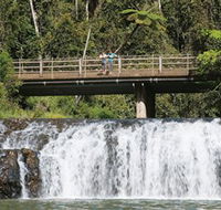 Malanda Falls Conservation Park - Accommodation BNB