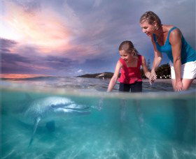 Bulwer QLD Accommodation BNB