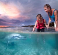 Tangalooma Island Resort - Accommodation BNB