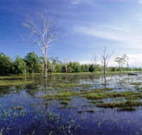 Tyto Wetlands - Accommodation BNB