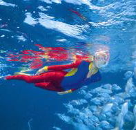 Outer Rocks Dive Site - Accommodation BNB