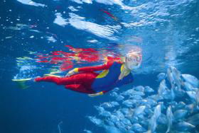 Outer Rocks Dive Site - Accommodation BNB 0