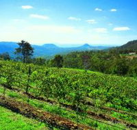 Preston Peak Wines - Accommodation BNB