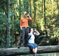Birdwatching on the Fraser Coast - Accommodation BNB
