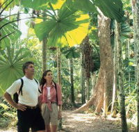 Licuala State Forest - Accommodation BNB
